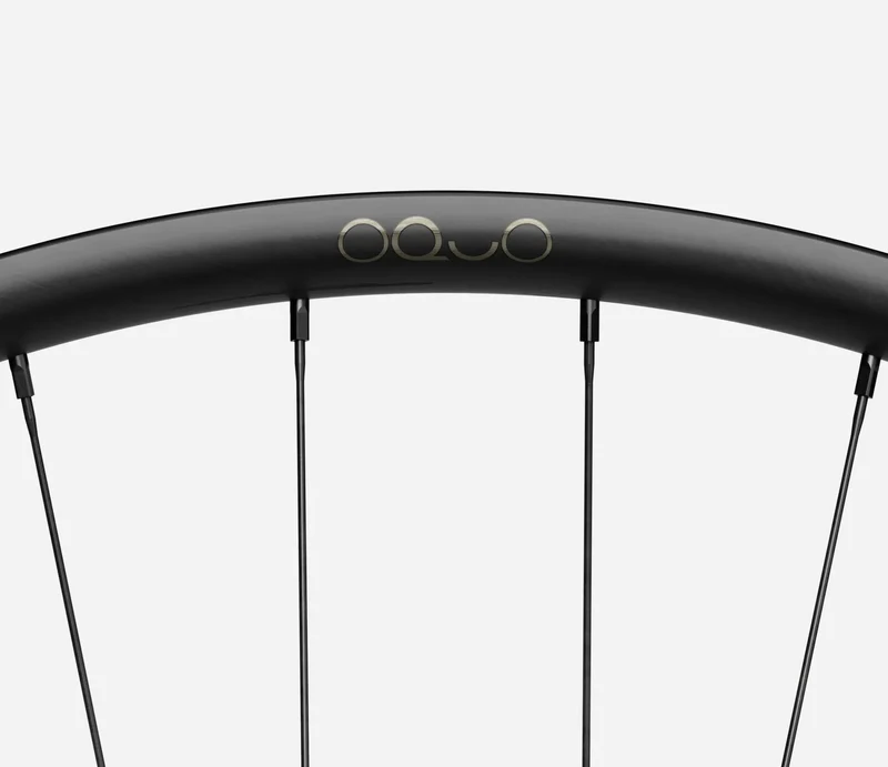 Oquo Mtb Hinterrad MC32LTD XD 29 Glitter Anthracite