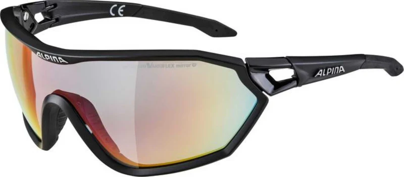 Alpina S-WAY L Brille black matt QVMRB+