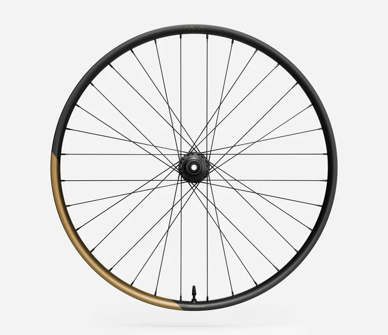Oquo Mtb Hinterrad MC32LTD XD 29 Metallic Golden Sand