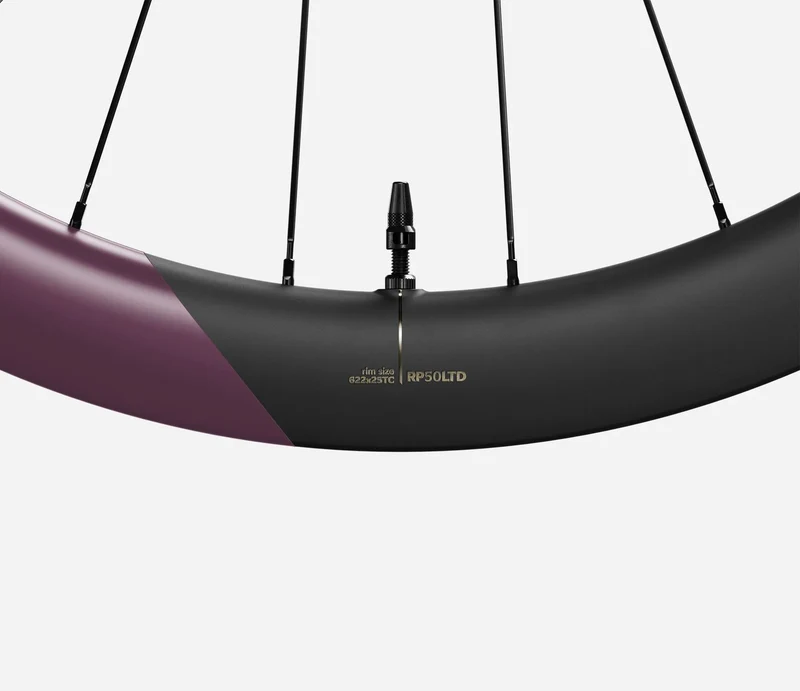 Oquo Hinterrad Gravel RP50LTD Sram XDR Metallic Mulberry