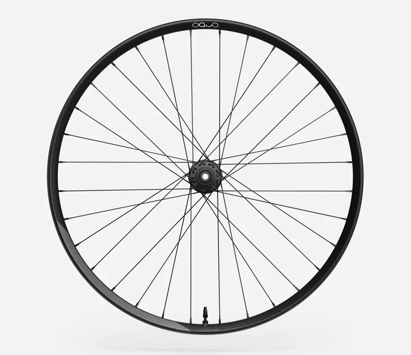 Oquo Mtb Hinterrad MC32TEAM PWR XD 29 Glitter Anthracite