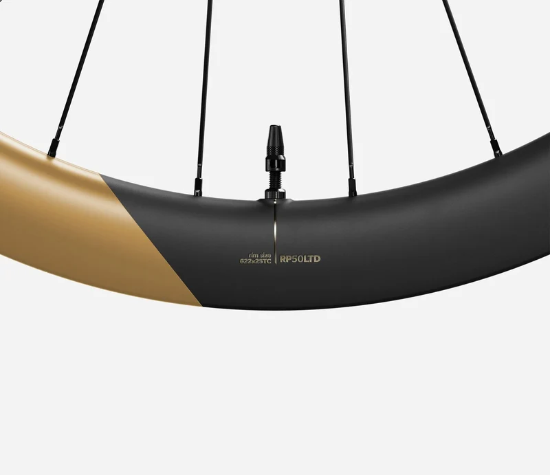 Oquo Hinterrad Gravel RP50LTD Shimano HG Metallic Golden Sand
