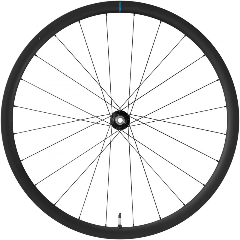 SHIMANO Laufradsatz GRX WH-RX880 700C HG Laufradsatz 24 Loch Center-Lock 100x12 mm