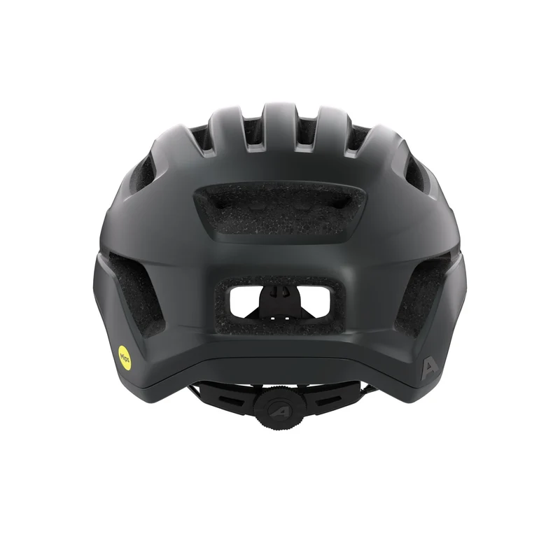 Alpina Paranus Mips Helm black-midnight grey matt