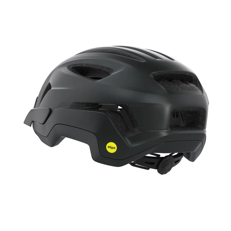 Alpina Paranus Mips Helm black-midnight grey matt