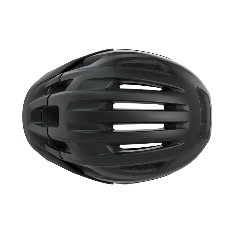 Alpina Paranus Mips Helm black-midnight grey matt