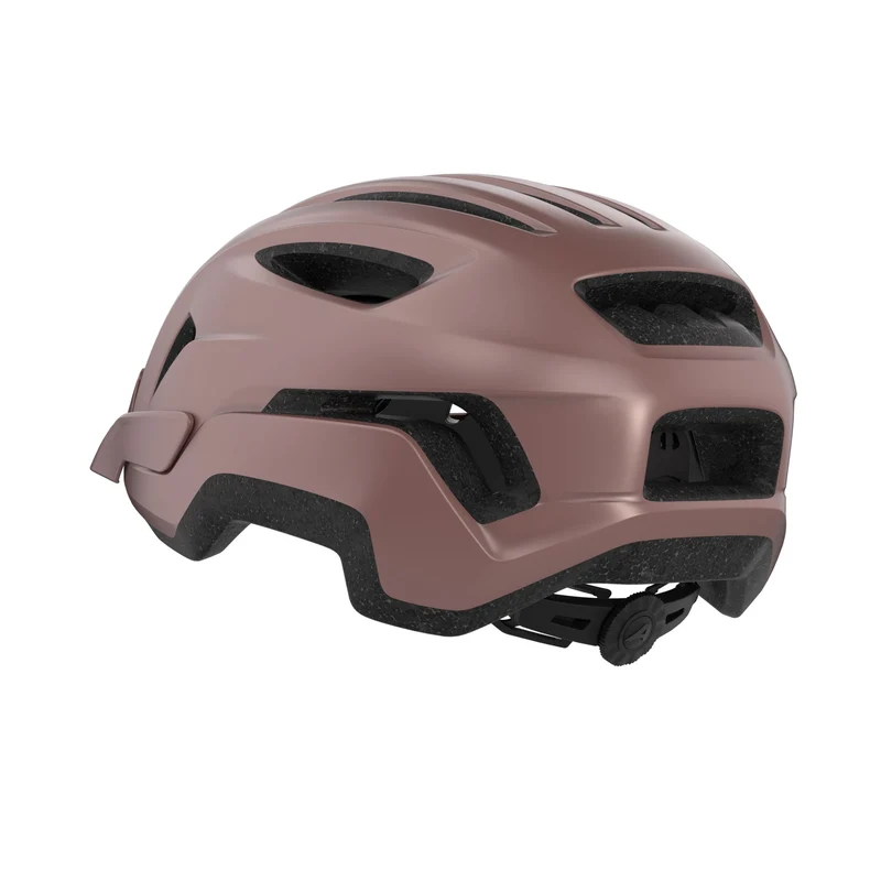 Alpina Paranus Helm rose matt