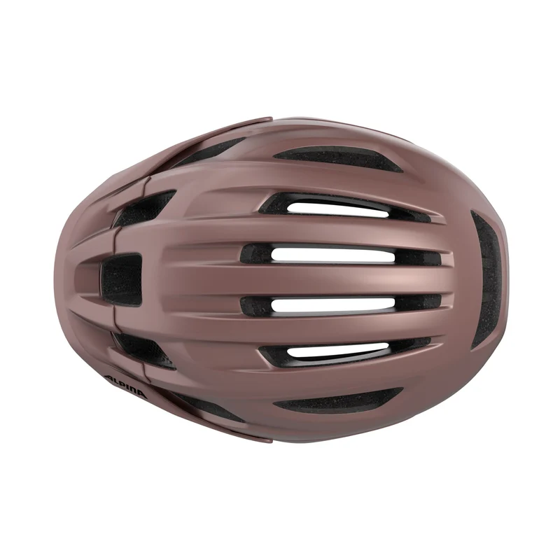 Alpina Paranus Helm rose matt