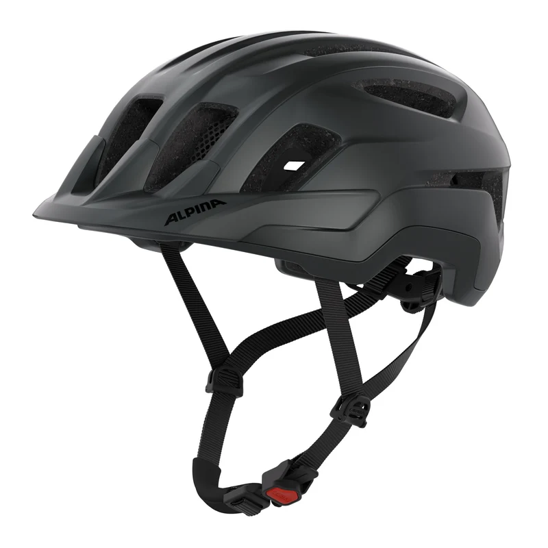 Alpina Paranus Helm black matt