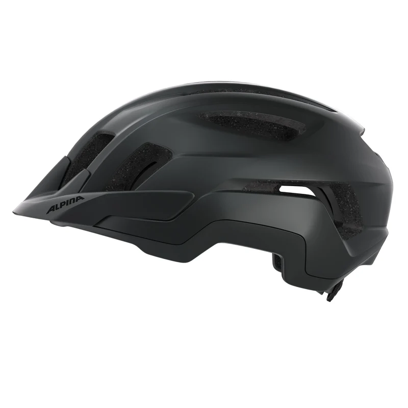 Alpina Paranus Helm black matt