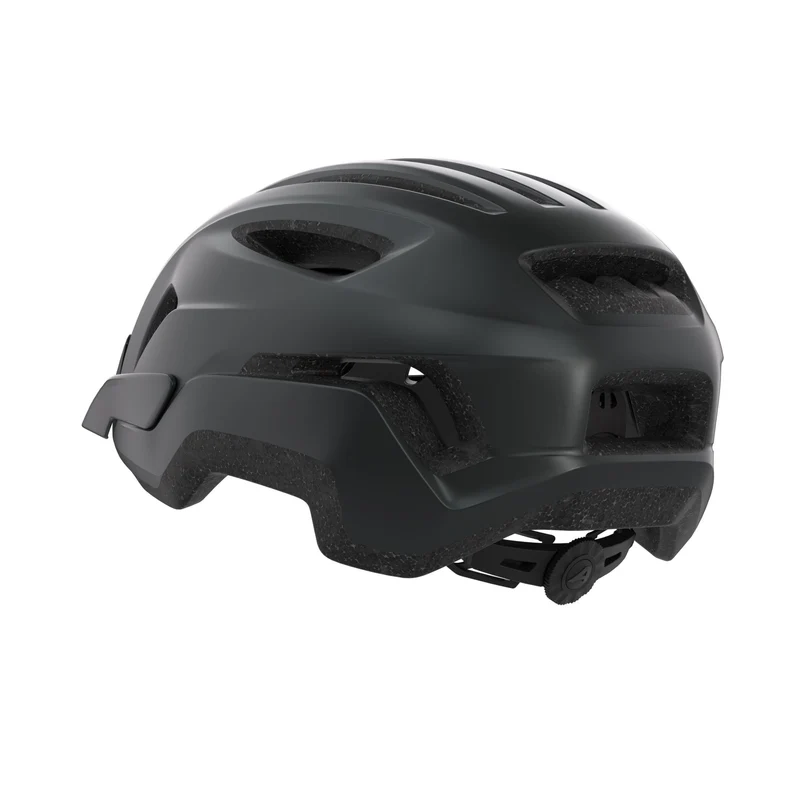 Alpina Paranus Helm black matt