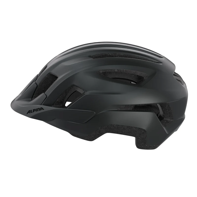 Alpina Paranus Helm black matt
