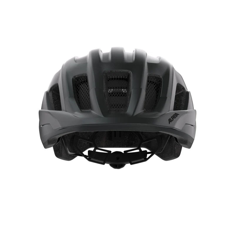 Alpina Paranus Helm black matt