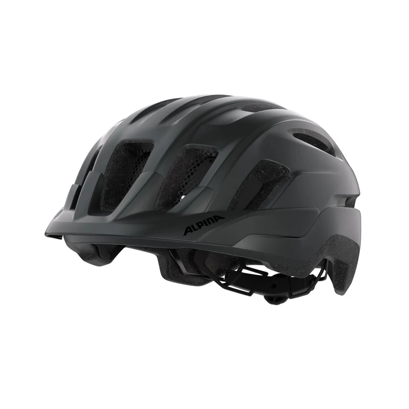 Alpina Paranus Helm black matt