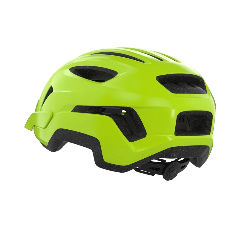 Alpina Paranus Helm be-visible gloss