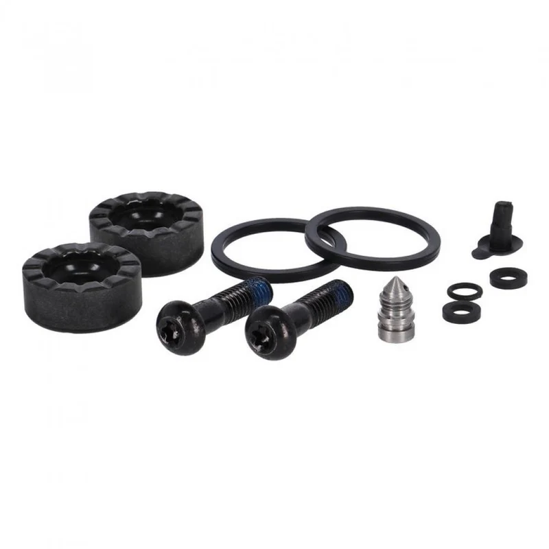 SRAM CALIPER SERVICE KIT 2 PISTON 2 1MM FRC D1 - Wartungsset für 2?Kolben-Bremssättel